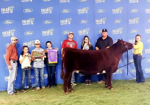 Jocelyn Show Ring.jpg