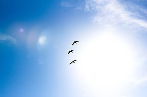 open sky - Blog Banner.jpg