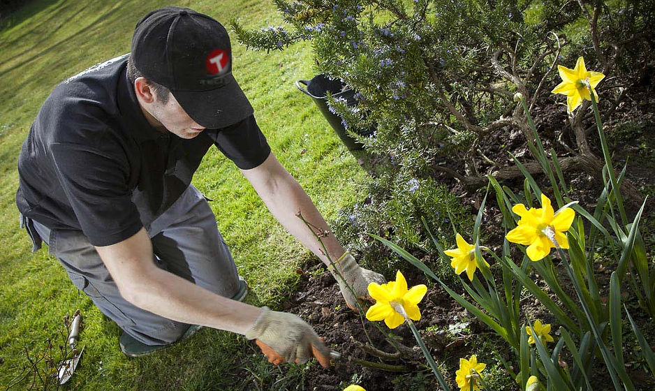 jardinero-plantando-tecniser.jpg