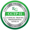 Clinical Trauma Professional