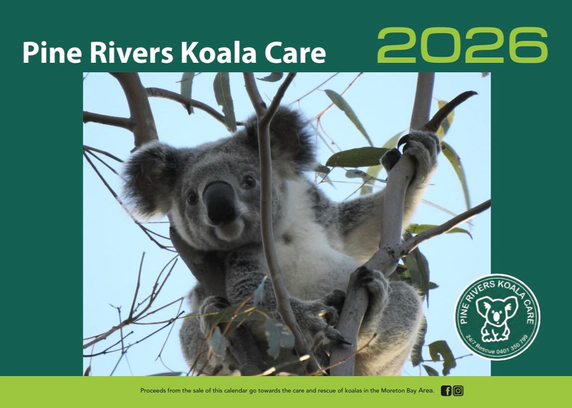 2026 Pine Rivers Koala Care Calendar