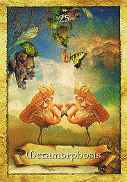 Thumbnail: Enchanted Map Oracle Cards