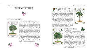 Thumbnail: Tree Magick Oracle Deck, The