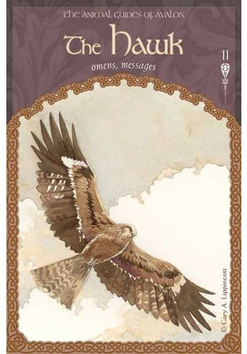 Thumbnail: Wisdom of Avalon Oracle Cards, The
