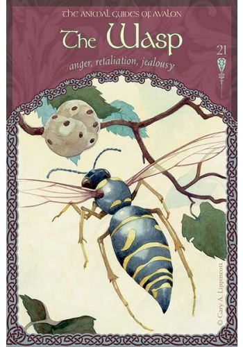 Thumbnail: Wisdom of Avalon Oracle Cards, The