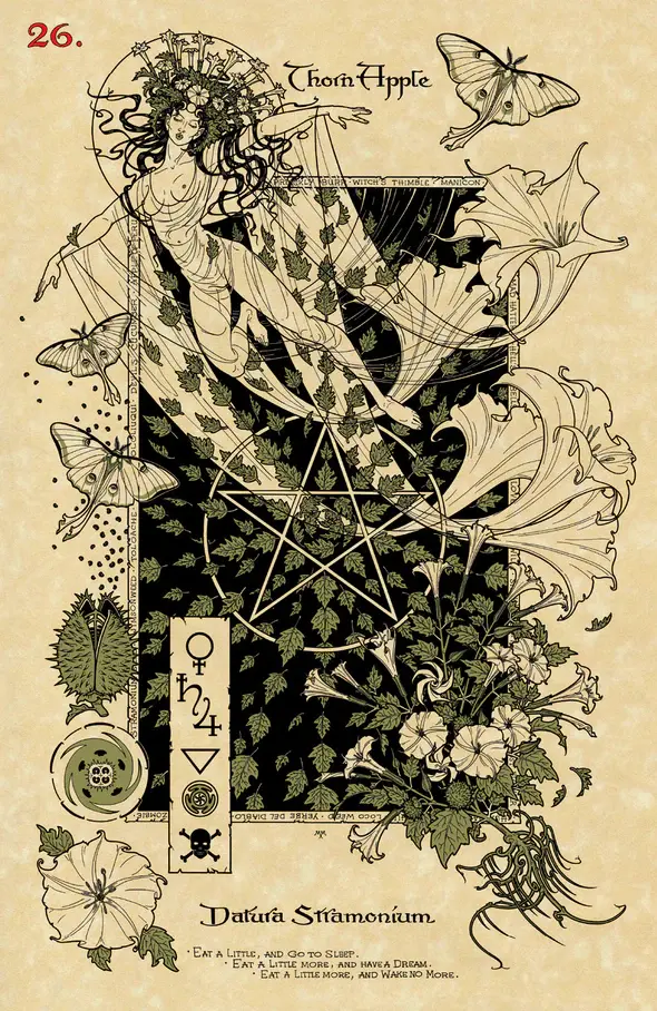 Thumbnail: Magickal Botanical Oracle, The