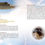 Thumbnail: Animal Spirit Wisdom