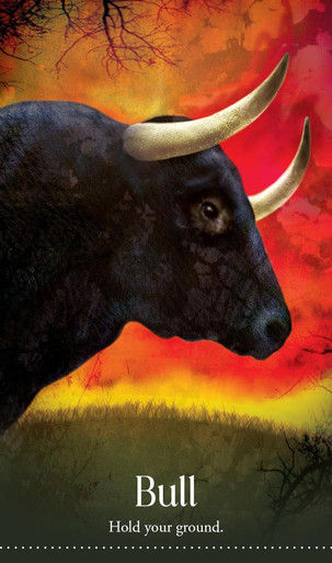 Thumbnail: Wild Dreams Animal Oracle