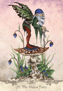 Thumbnail: Fairy Wisdom Oracle Deck and Book Set