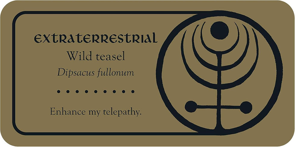 Thumbnail: Medieval Herb Sigils