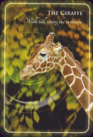 Thumbnail: Animal Whispers Empowerment Cards