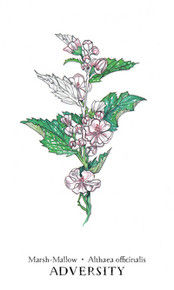 Thumbnail: Hedgewitch Botanical Oracle