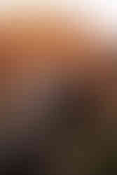 Couple smiling and embracing each other in front of sunlit red rock mountains at sunrise in zion national park. Warm, romantic mood with soft lighting and natural scenery.