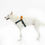 Thumbnail: 0109 Harness - Red