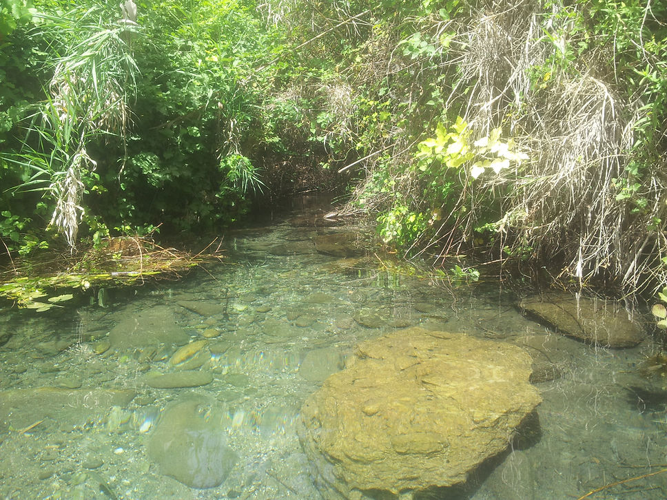 Israel Upper Galilee Adventures