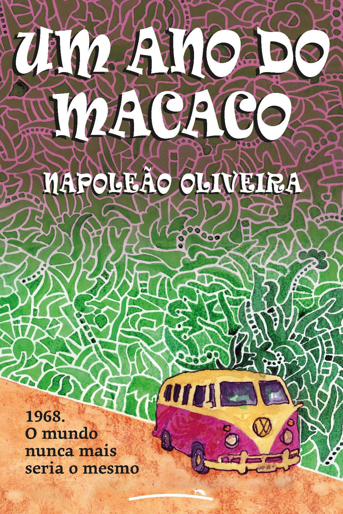 Um ano do macaco (ebook)