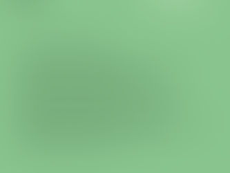 "A colina que subimos" tradução de Raquel Lima para o poema de Amanda Gorman