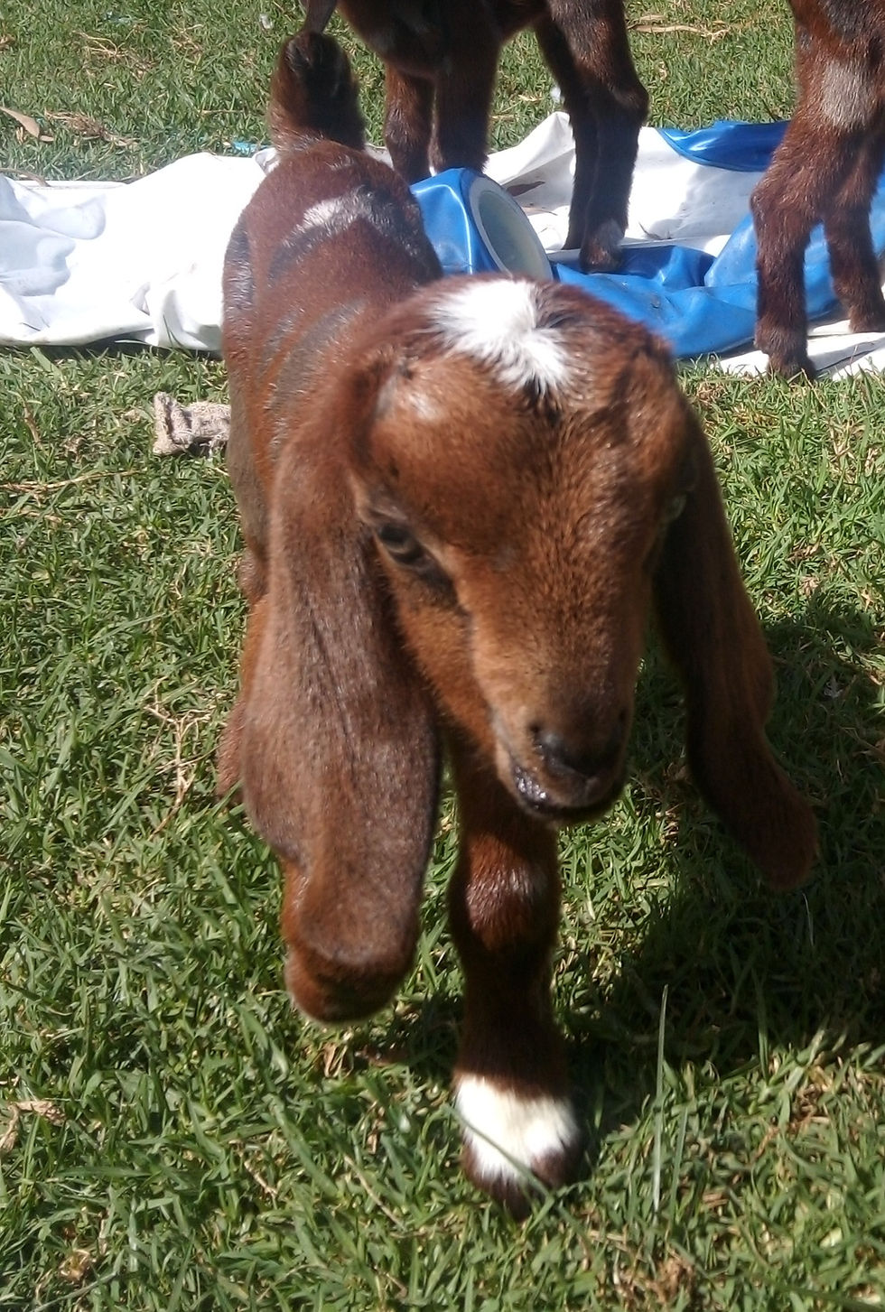 IMG_20220410_104809_edited