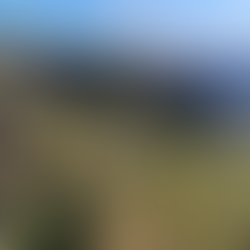 Blue Roots: Klimaatinvesteringen voor water-ecosysteemdiensten in Piura, Peru