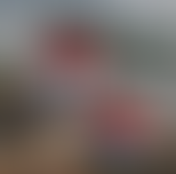 Haalbaarheidsonderzoek zonne-energie voor de gemalen in Pekalongan Indonesië