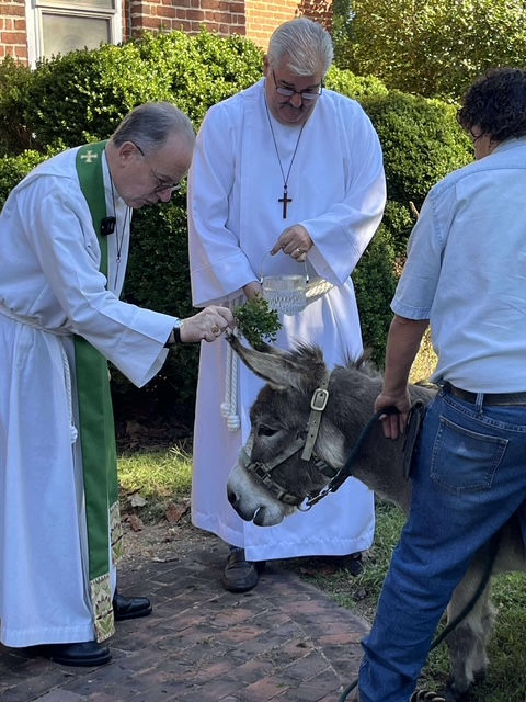 Sunday Morning Eucharist - Blessing of the Animals