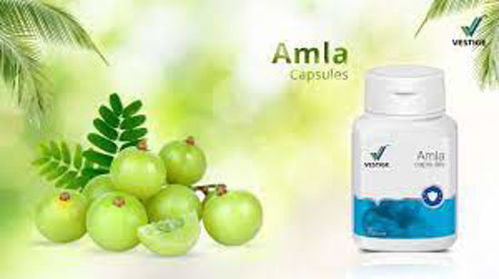 Miniature : Complement alimentaire, AMLA, 60 capsules, VESTIGE