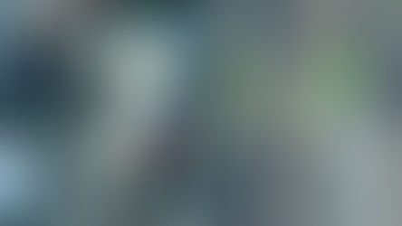 « Tanière sous contrôle : la récréation est terminée 🦁🚫 »