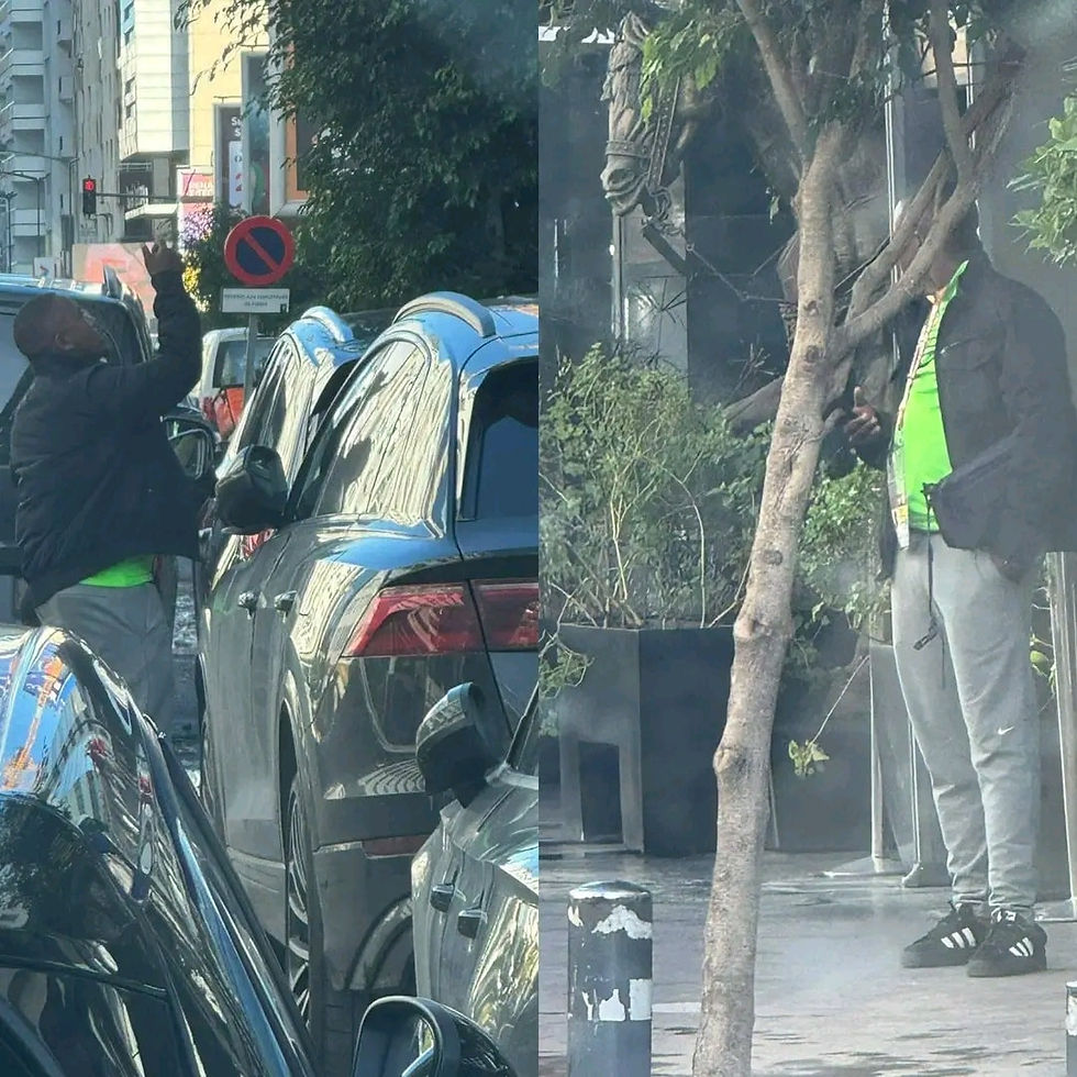 « Tanière sous contrôle : la récréation est terminée 🦁🚫 »
