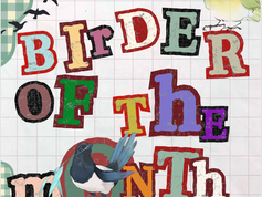 Birder of The Month- September