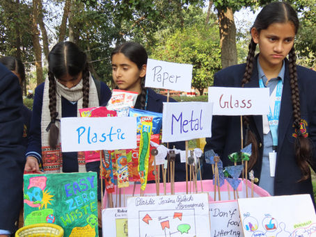 Plastic Literacy: My Journey Towards a Zero–waste Life