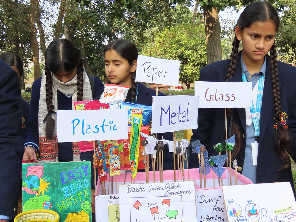 Plastic Literacy: My Journey Towards a Zero–waste Life