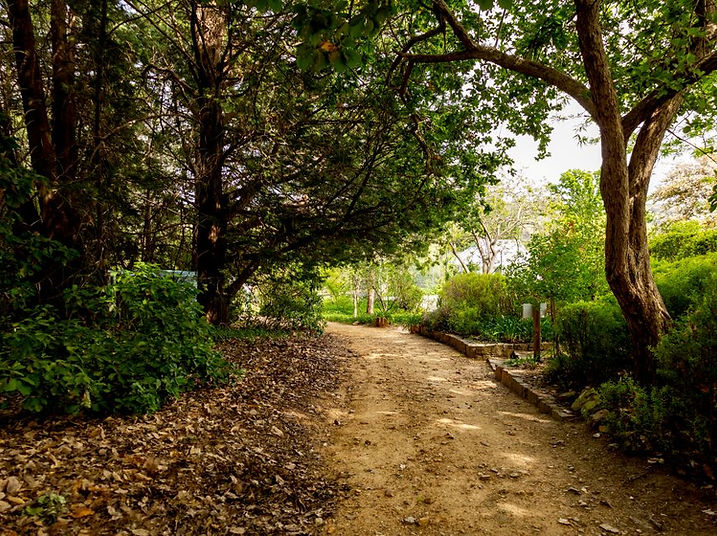1-markdale-path.jpg