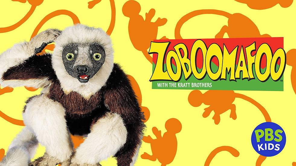 Zoboomafoo first aired in January 1999, was partially filmed at Duke Lemur Centre in North Carolina, where Martin Kratt, who hosts the show along with his brother Chris, is an alum. Along with the Kratt Brothers, the show features a lemur named Zoboomafoo, who was portrayed by a real Coquerel's Sifaka named Jovian. (Photo by PBS Kids)
