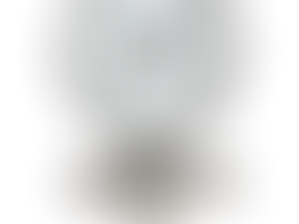 Protecting Instruments with Diaphragm Seals