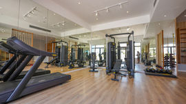 LIVE RED SEA | Wadi Jebal Soma Bay