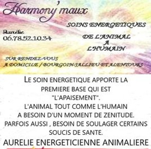 aurel.jpg