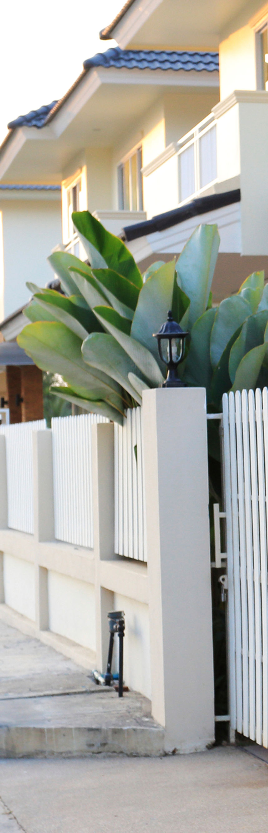 White Fence