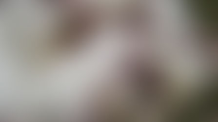 Le X3 : Les démotivateurs