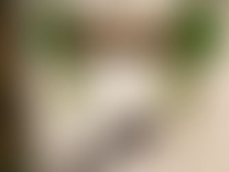 【4月13日オープン】Rex　Cafe（レックスカフェ）旧神流町恐竜センター食堂がリニューアルオープン♪