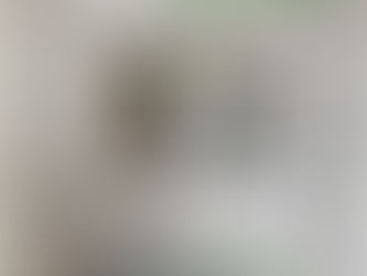 本日の上毛新聞にて当店が紹介されました