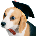 brilliant_advisor%20KINAKO_03_edited.png