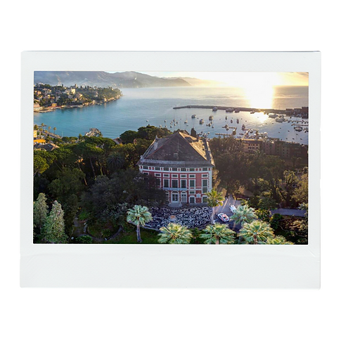Paramount+ (7).png