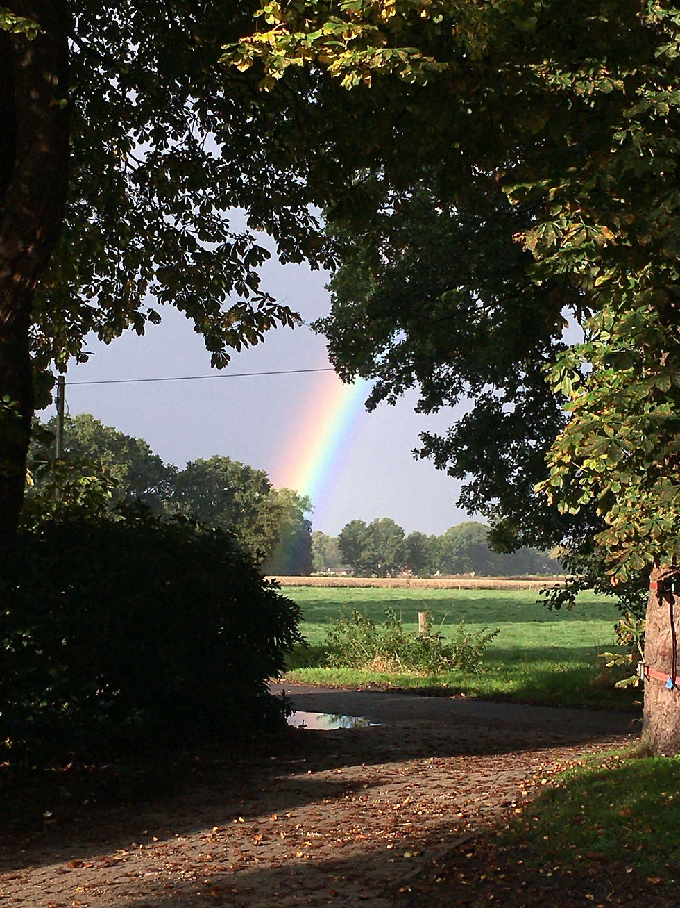 regenbogen.jfif
