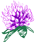 output-onlinepngtools.png