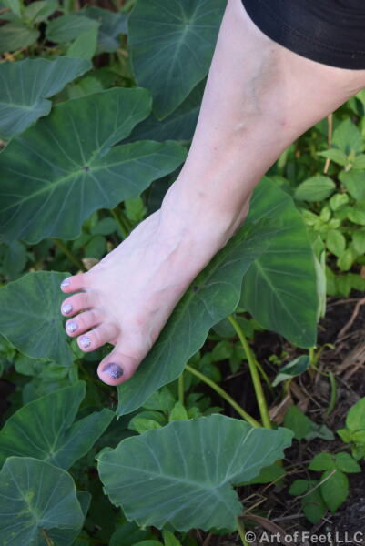 Thumbnail: Darcie 1 - 285 Photos