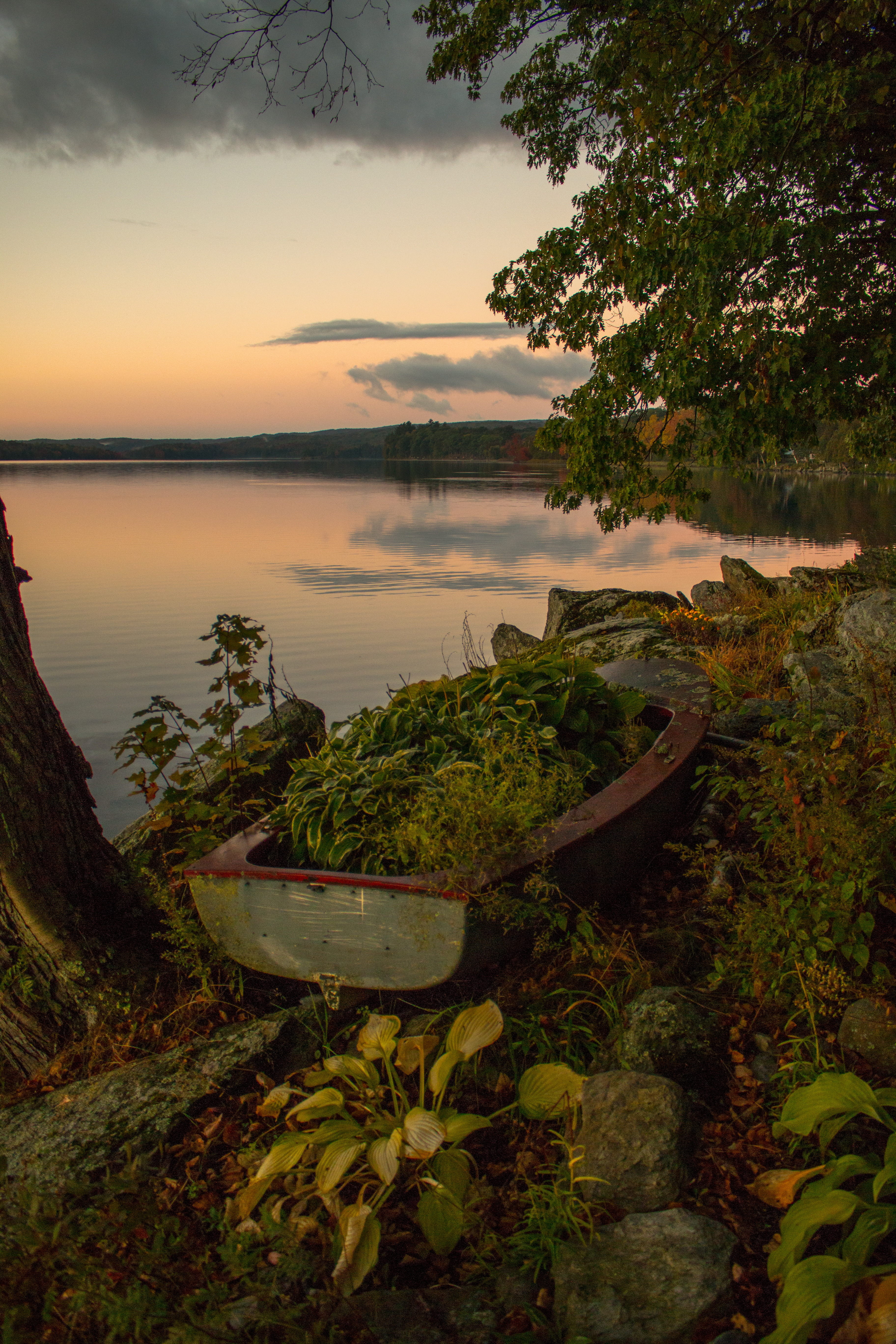 Vermont Pond