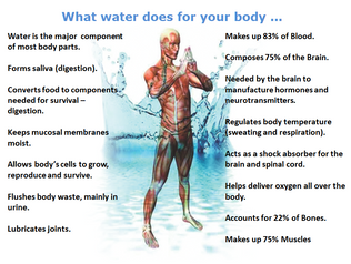 Seriously, Stop Being Silly! Water is EVERYTHING!