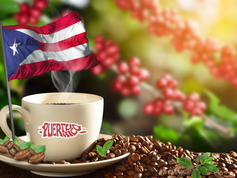 Puerto Rican Coffee Culture