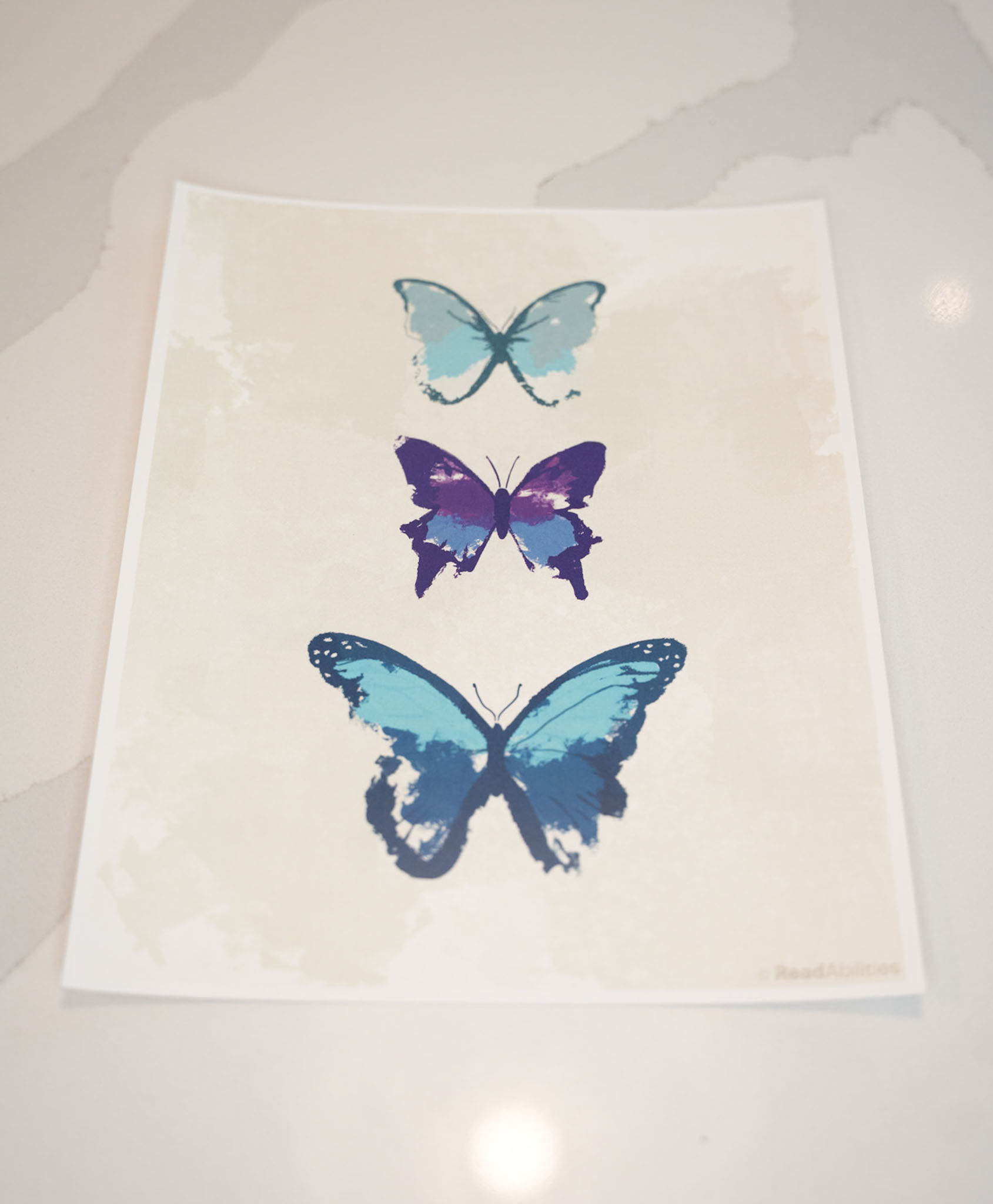 Butterfly Print