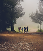 _DSC4063 copia_edited.png